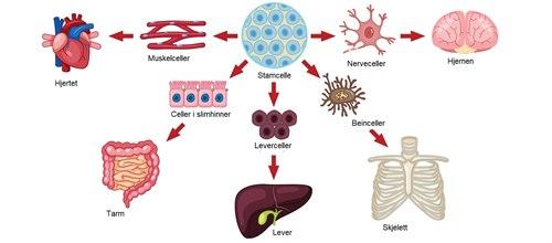 COLOURBOX37539440.jpg COLOURBOX37539440.jpg