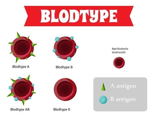 COLOURBOX27088534.jpg COLOURBOX27088534.jpg