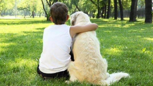 Illustrasjonsfoto: Colourbox