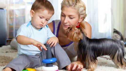 Illustrasjonsfoto: Colourbox