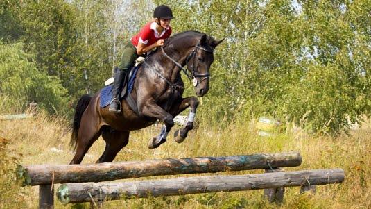 Illustrasjonsfoto: Colourbox