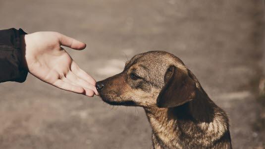 Illustrasjonsfoto: Colourbox