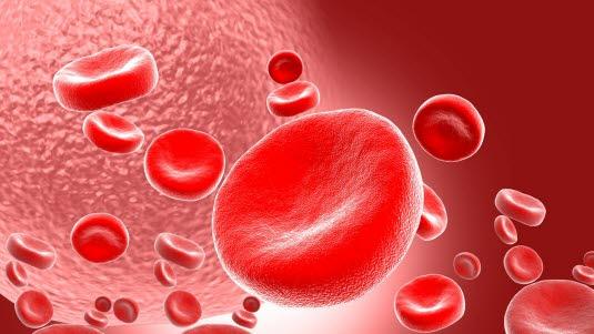 Røde blodceller