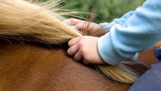 Illustrasjonsfoto: Colourbox