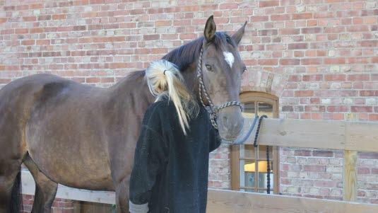 Foto: Ann Kern-Godal.