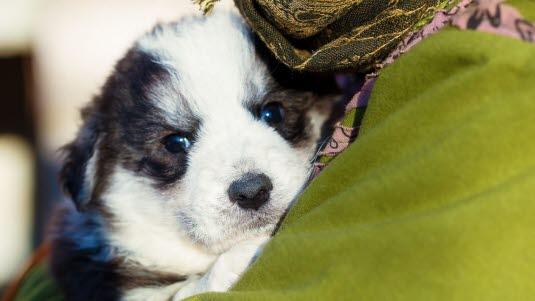 Illustrasjonsfoto: Colourbox