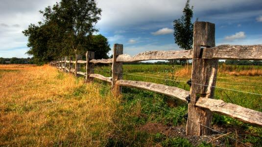 krefttyper, en oversikt