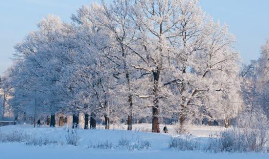 God helse i vinterkulda