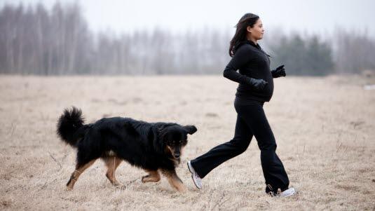 trening og svangerskap