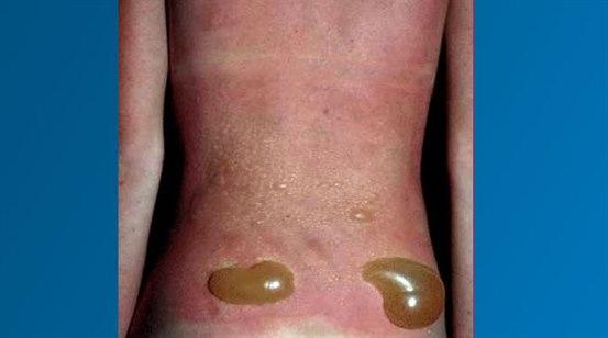 bildequiz uke 21.jpg