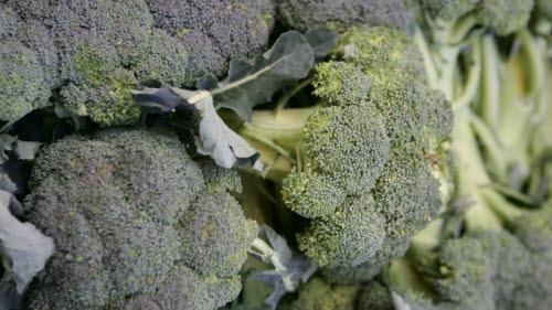 6679-2-brokkoli.jpg