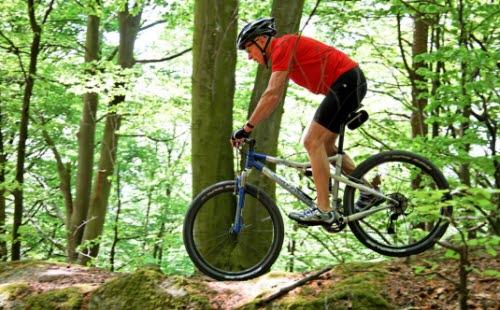 Eldre og fysisk aktivitet