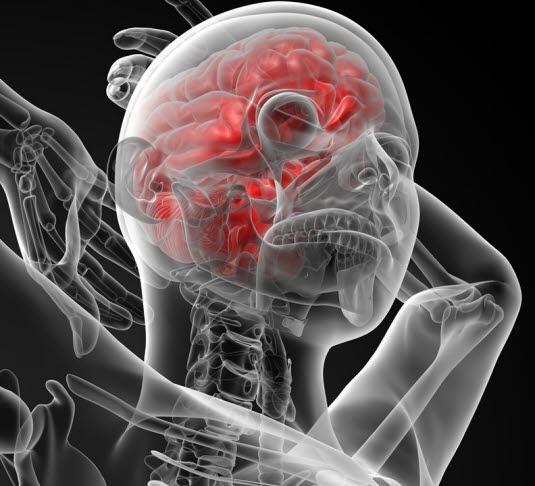 Hode og hals Hode og hals