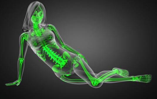 Skjelettet Skjelettet