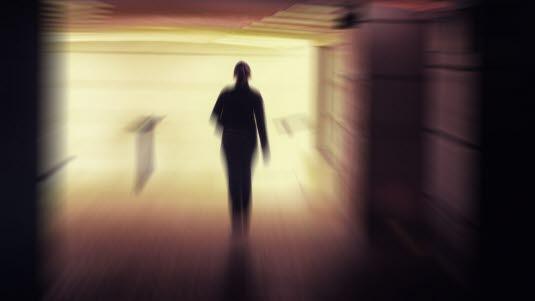 Fobi, redd Fobi, redd