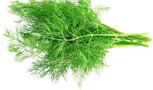 Dill Dill
