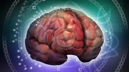 Storhjernen Storhjernen