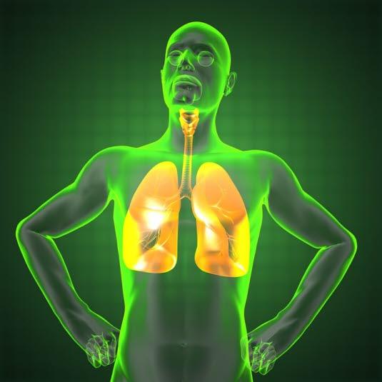 Brysthulen Brysthulen