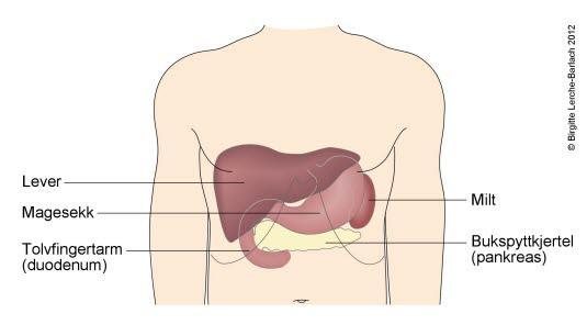 Bukhulen - øvre del