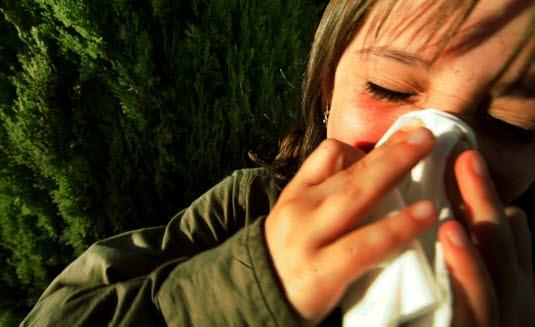 forkjølelse forkjølelse