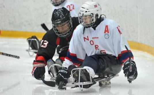 Loyd Remi Solberg Loyd Remi Solberg