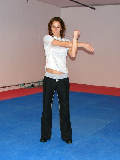 Bakside skulder Bakside skulder