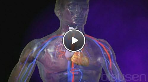 6893-2-hvordan-lungene-virker.jpg 6893-2-hvordan-lungene-virker.jpg