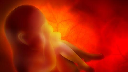 foster, fosterutvikling.jpg