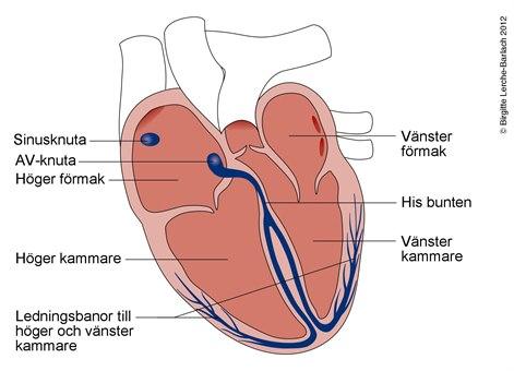 10271-6-lh169hj-ledningsbaner.jpg 10271-6-lh169hj-ledningsbaner.jpg