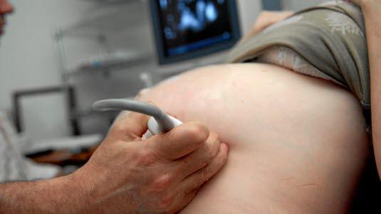 gravid ultralyd