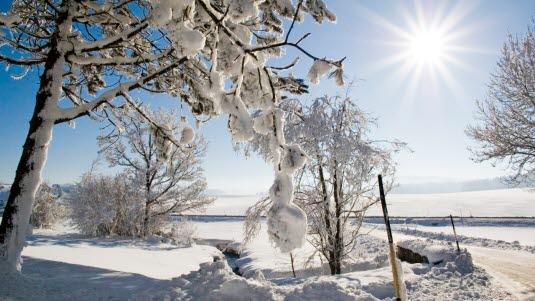 vinter,sol,snø.jpg