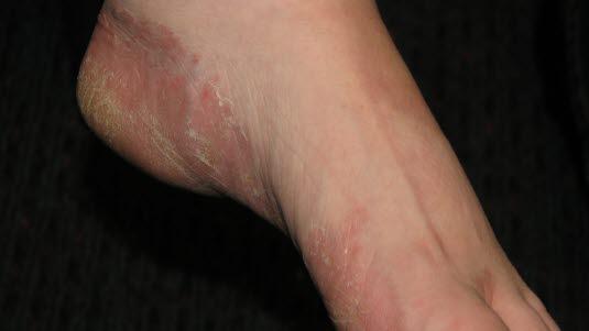 Bildequiz uke 41.jpg