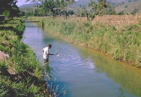 Schistosomiasis smitterisiko