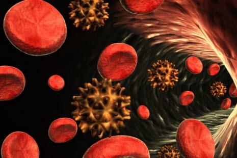 Virus i blodet, illustrasjonsbilde