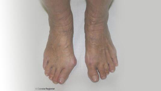 Bildequiz uke 47.jpg