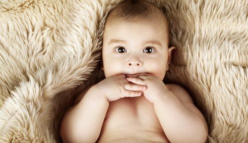 58913-2-baby.jpg 58913-2-baby.jpg