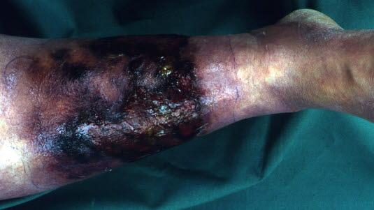 Bildequiz uke 47.jpg