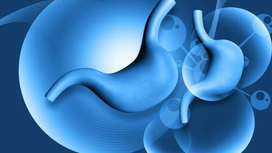 Magesekk, illustrasjon