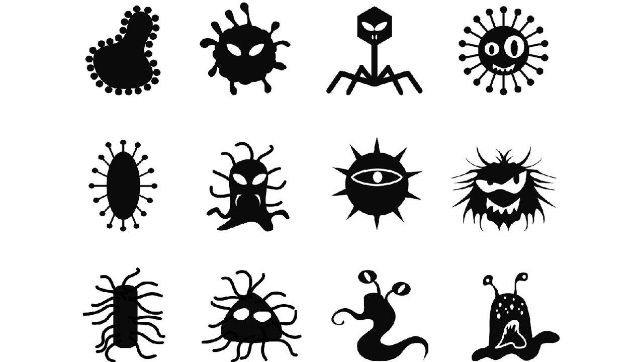 virus