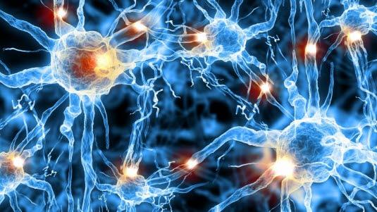 Illustrasjon Nervecelle Illustrasjonsfoto av flere nerveceller.