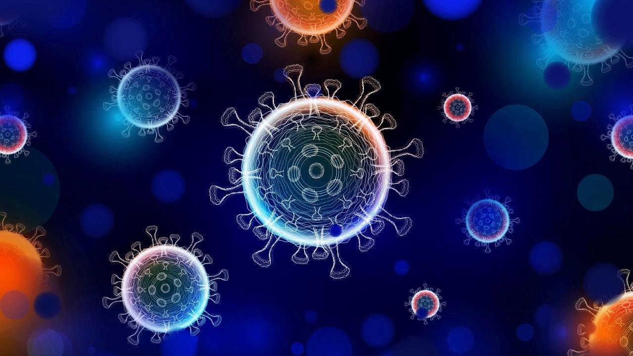 Virus