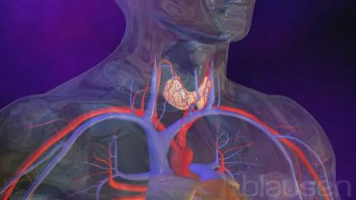 Stoffskiftemedisiner