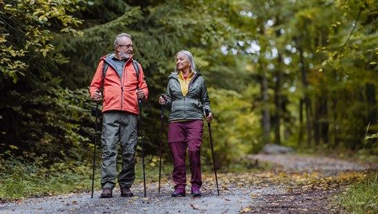 eldre på tur På en skogsti går et par i pensjonsalderen, utstyrt med turlær og staver. De ser ut til å ha det fint mens de går tur og nyter naturen rundt seg.
